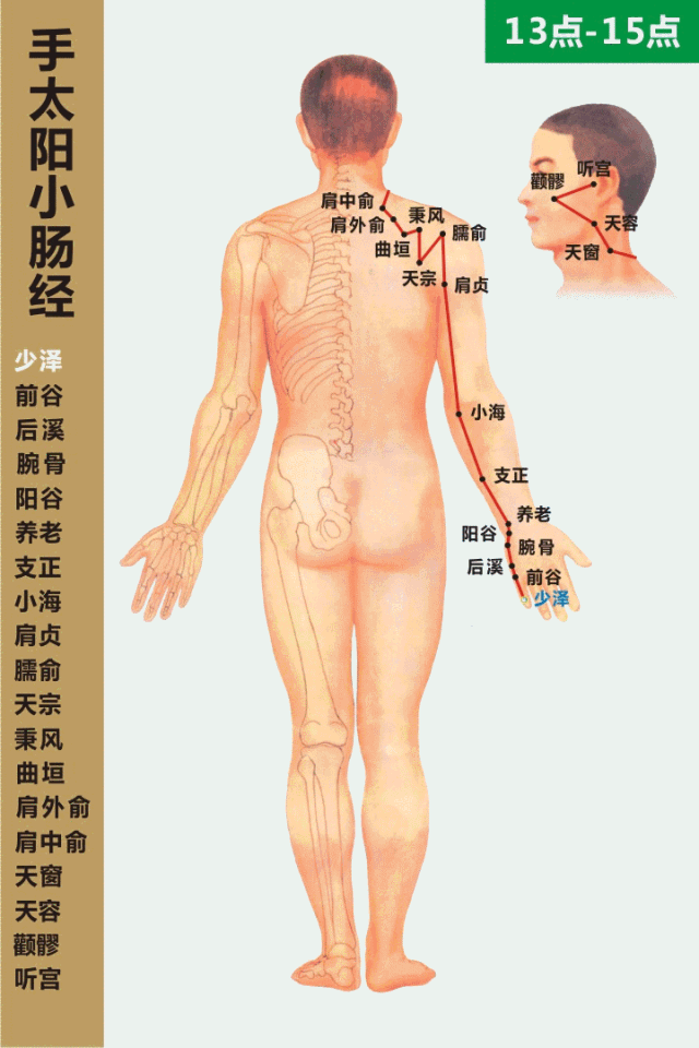 手太阳小肠经