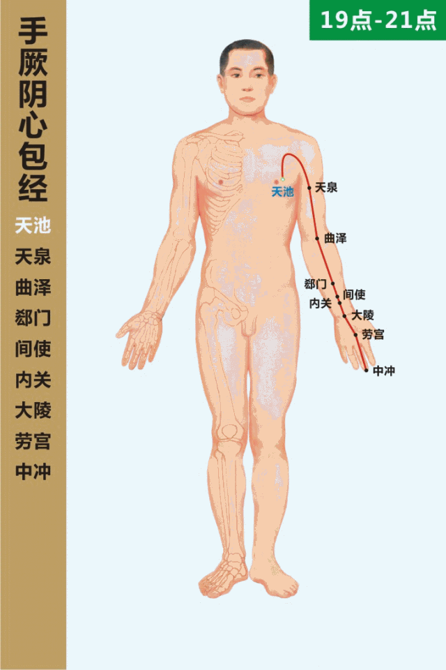 手厥阴心包经