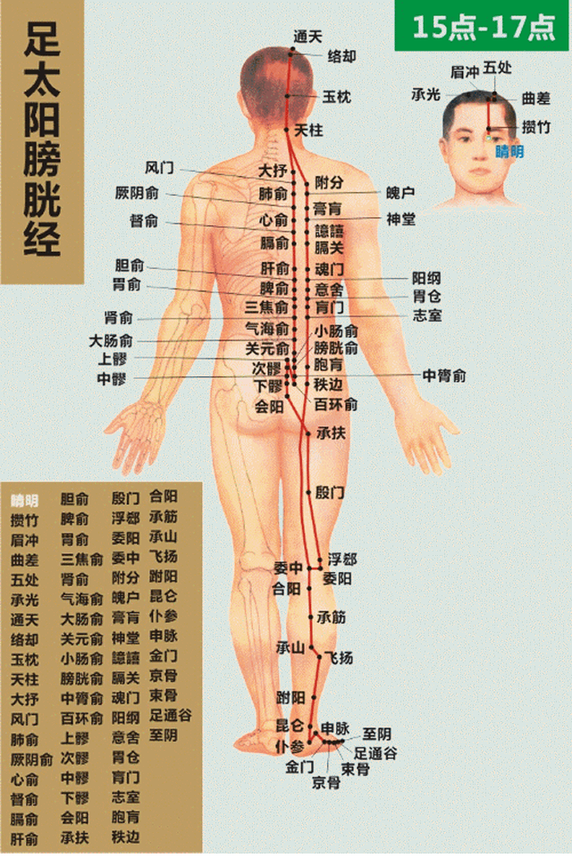 足太阳膀胱经