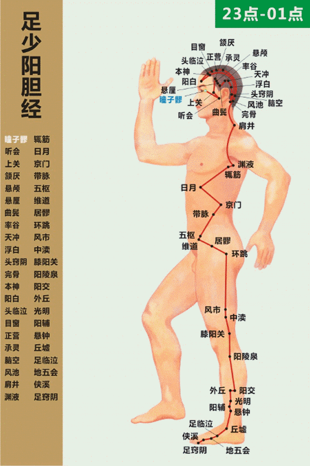 足少阳胆经