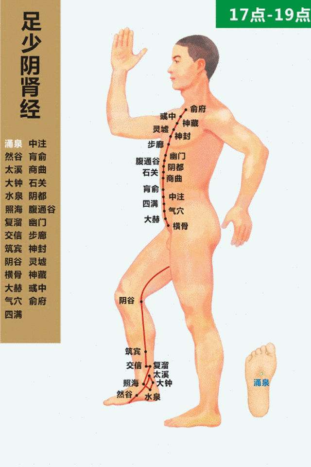 足少阴肾经