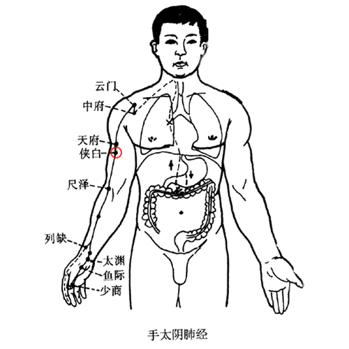 侠白穴
