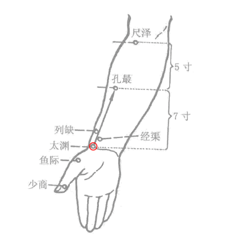 太渊穴
