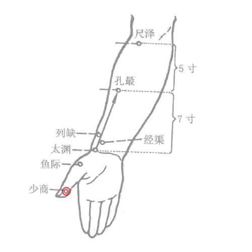 少商穴