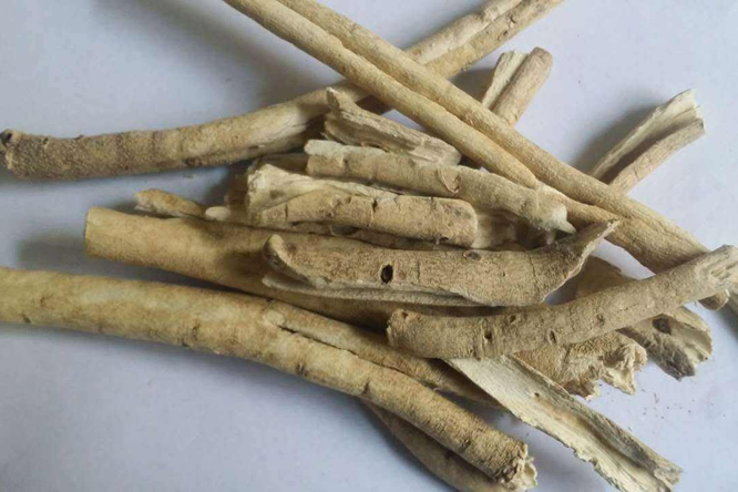 白鲜皮