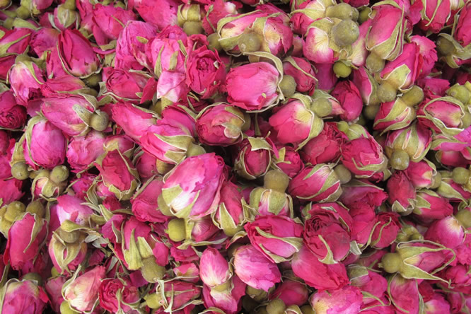 玫瑰花